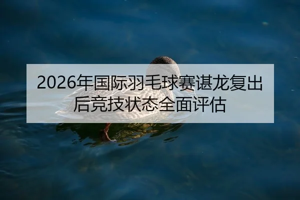 nian-guo-ji-yu-mao-qiu-sai-chen-long-fu-chu-hou-jing-ji-zhuang-tai-quan-mian-ping-gu-2-558.jpg