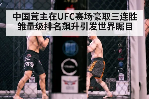 MMA cage fight